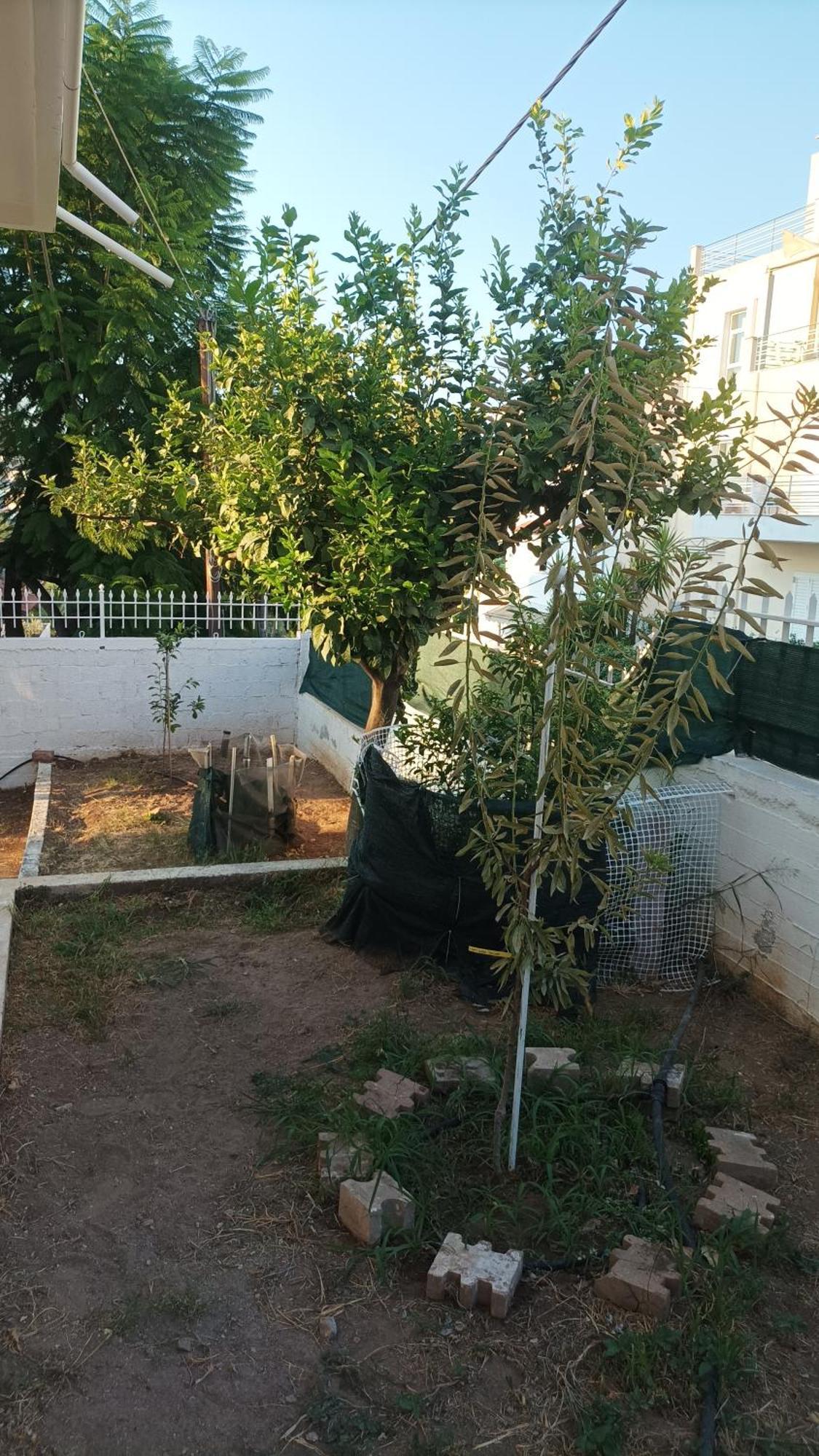 Villa Chalkis Εξωτερικό φωτογραφία